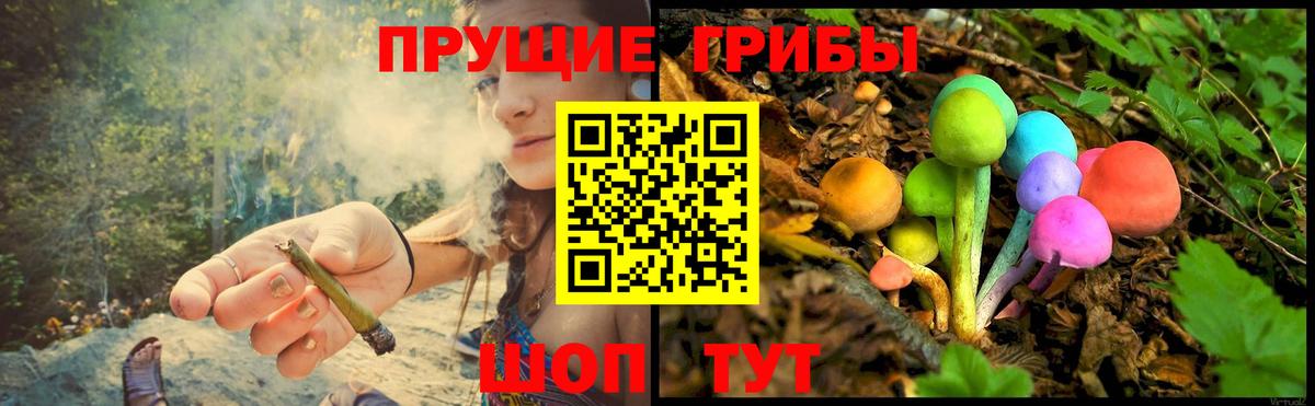 Галлюциногенные грибы GOLDEN TEACHER Десногорск